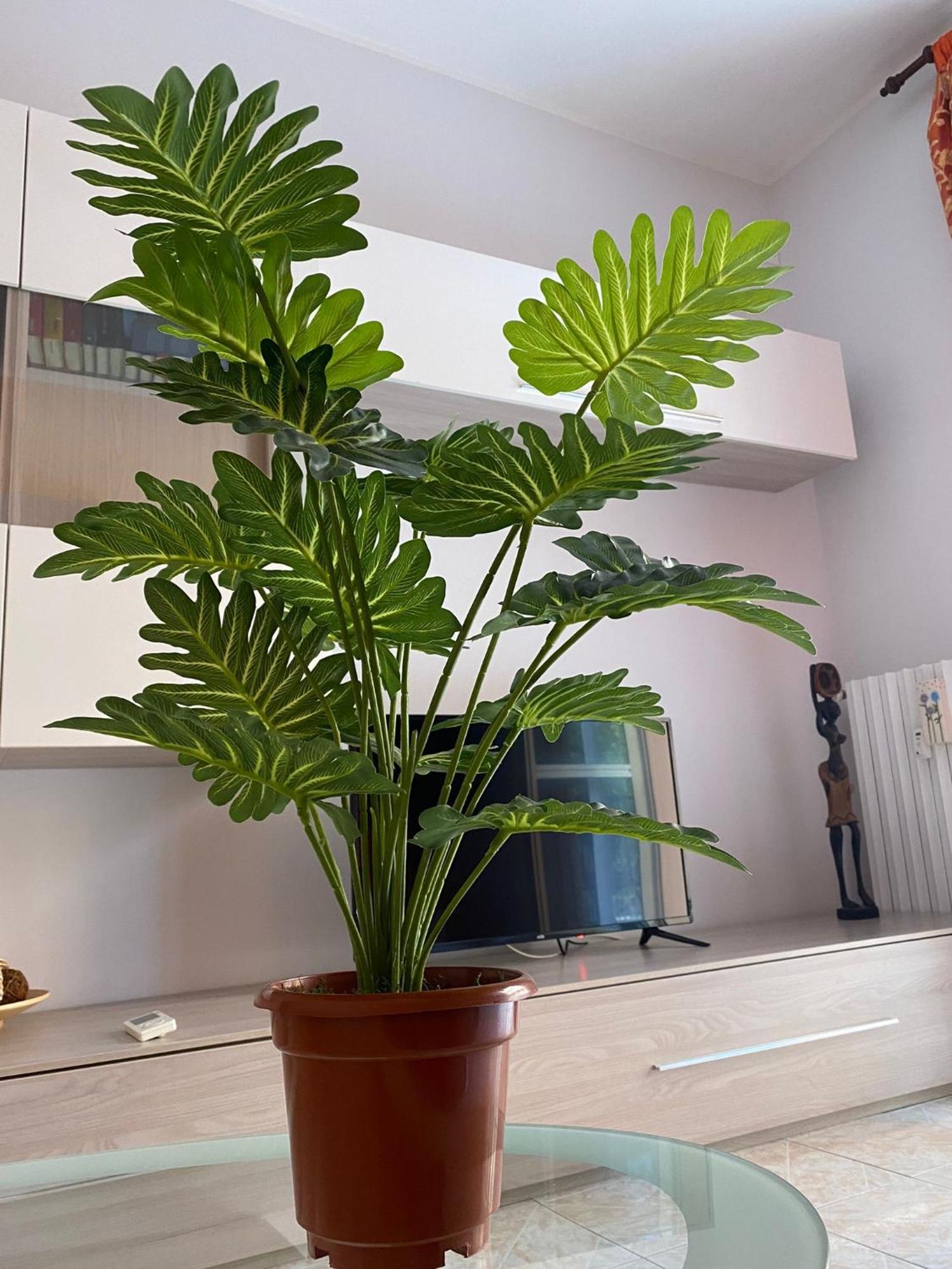 Apartmán Betulle'S House Řím Pokoj fotografie